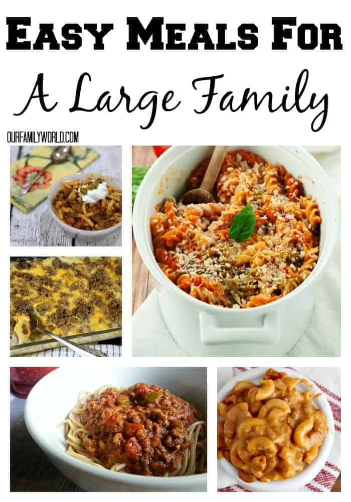Easy Dinner Recipes For Family Cheap
 Easy Meals For A Family Our Family World