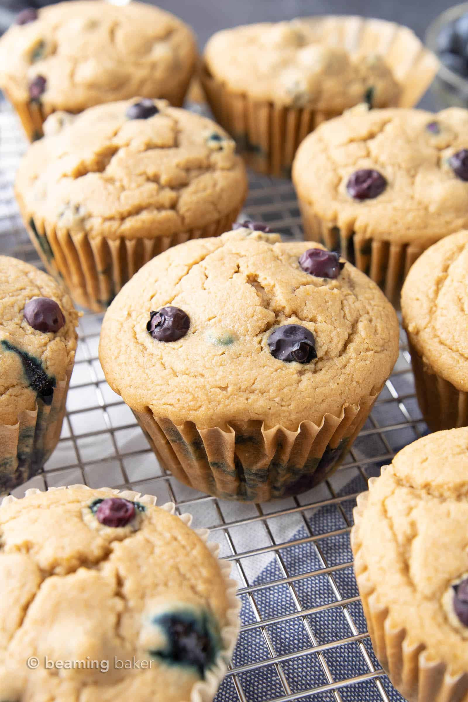 Easy Vegan Blueberry Muffins
 Easy Vegan Blueberry Muffins Recipe Gluten Free