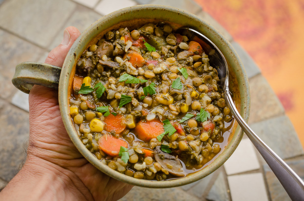 Easy Vegan Lentil Recipes
 Quick and Easy Vegan Lentil Soup with Rice Full of Beans