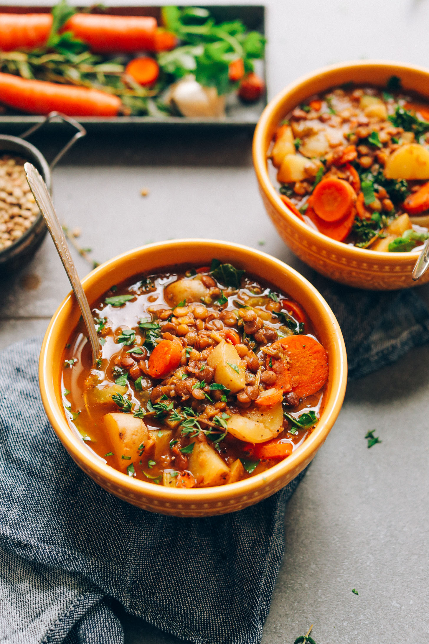 Easy Vegan Lentil Recipes
 1 Pot Vegan Lentil Soup