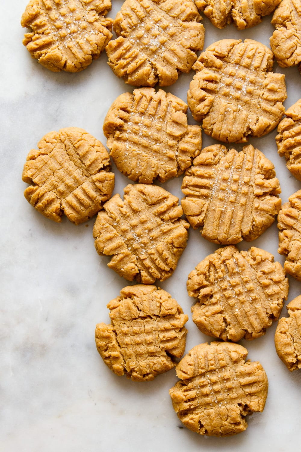 Easy Vegan Peanut Butter Cookies
 1 Bowl Vegan Peanut Butter Cookies The Simple Veganista