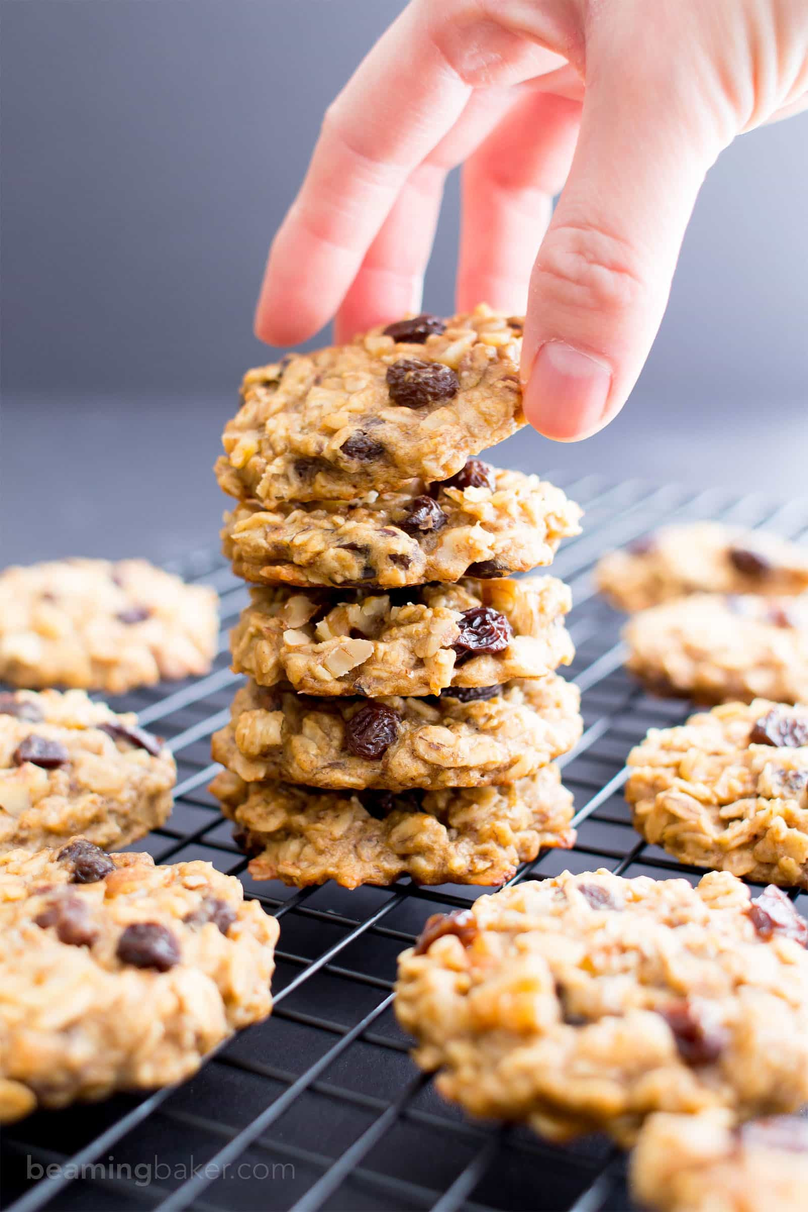 Easy Vegan Peanut Butter Cookies
 Easy Vegan Peanut Butter Banana Breakfast Cookies Gluten