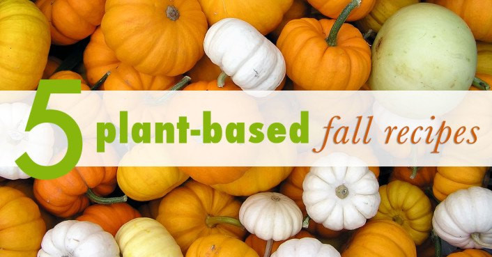 Fall Plant Based Recipes
 5 Mouthwatering plant based fall recipes