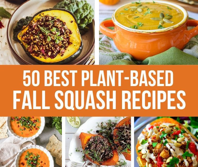 Fall Plant Based Recipes
 50 BEST Plant Based Fall Squash Recipes