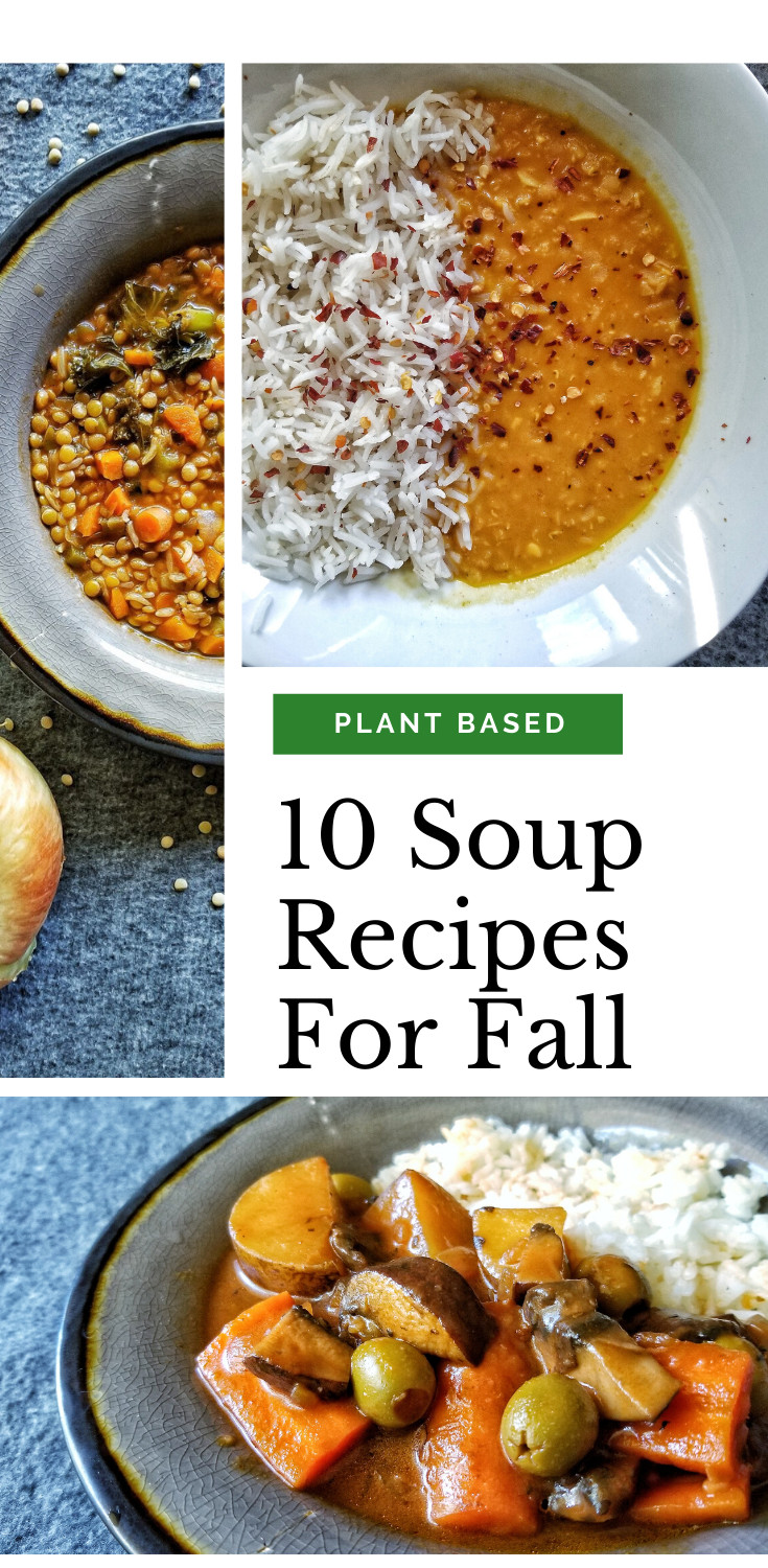 Fall Plant Based Recipes
 10 Soup Recipes For Fall Plant Based And Broke