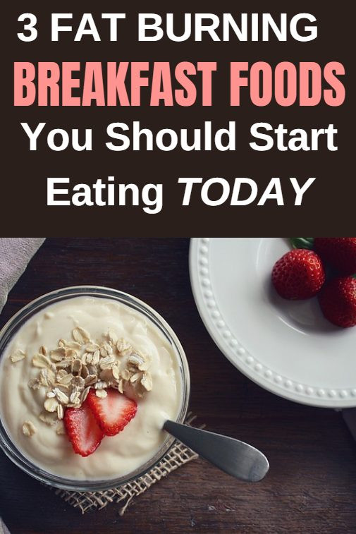 Fat Burning Foods Breakfast
 3 Fat Burning Breakfast Foods You Should Start Eating