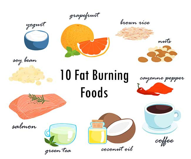 Fat Burning Foods For Men
 Best Fat Burning Foods to Burn Belly Fat for Men and Women
