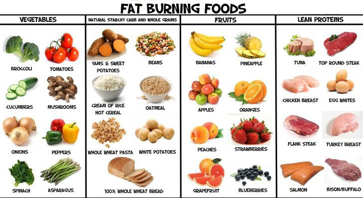 Fat Burning Foods
 51 Fat Burning Foods Infographic