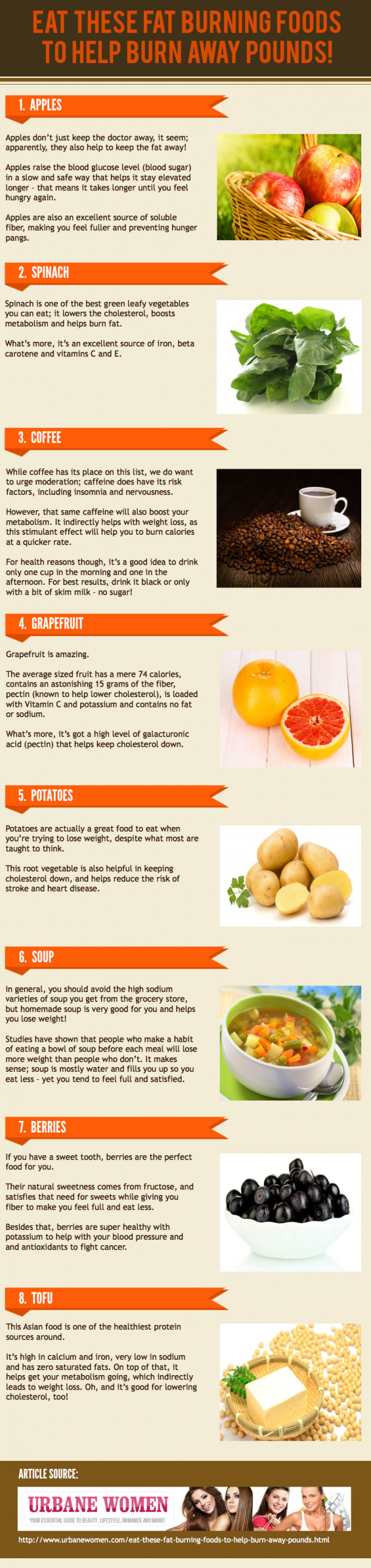 Fat Burning Foods Meals
 8 Best Fat Burning Foods Infographics