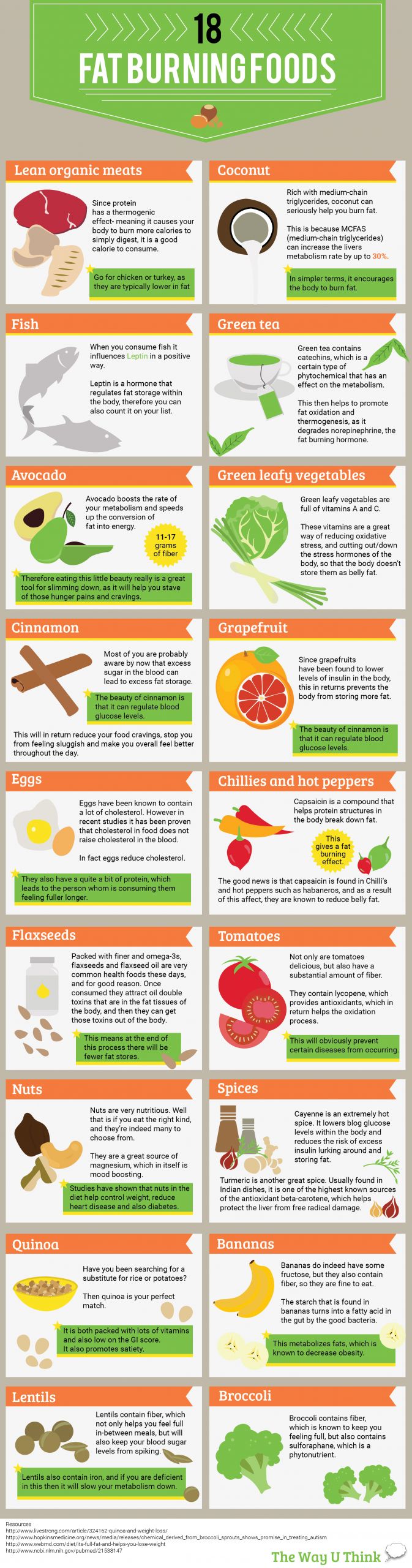 Fat Burning Foods Meals
 Infographic 18 Fat Burning Foods For Health Conscious