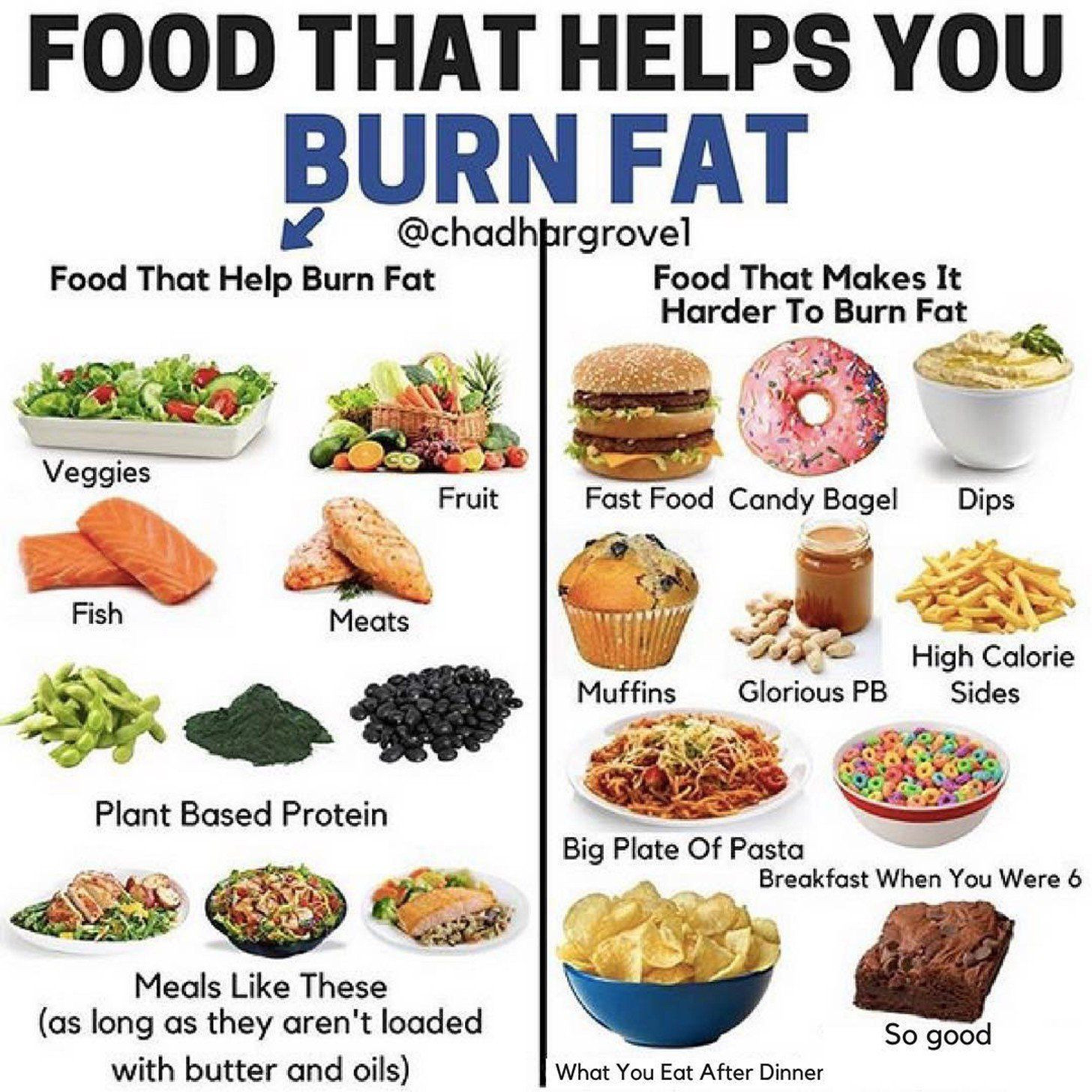 Fat Burning Foods Recipes Diet Plans
 Pin on Weight loss eating plans