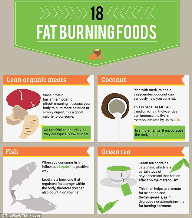 Fat Burning Foods Vegetarian Belly Fat Burning Diet Plan Ve arian Diet Plan