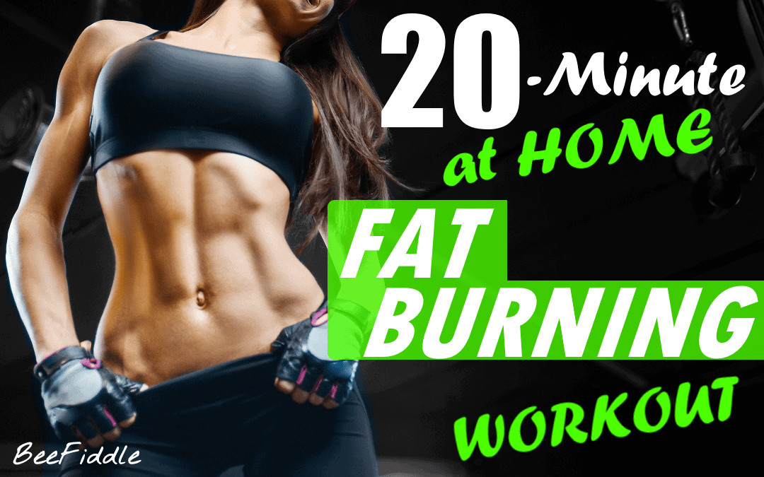 Fat Burning Workout At Home For Beginners
 20 Minute at Home FAT BURNING Workout for Beginners