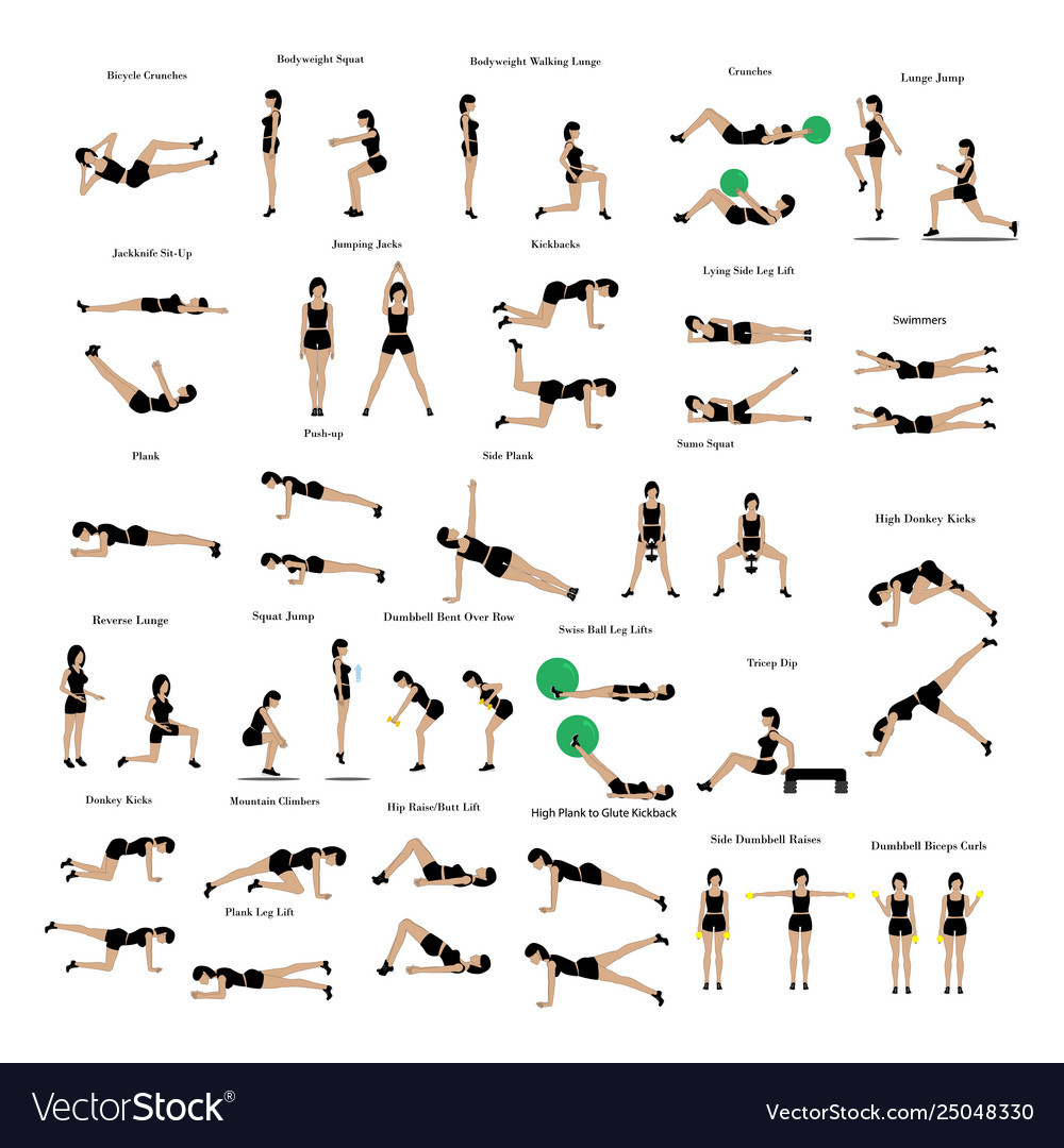 Fat Burning Workout Routine
 Fat burning workout exercises Royalty Free Vector Image