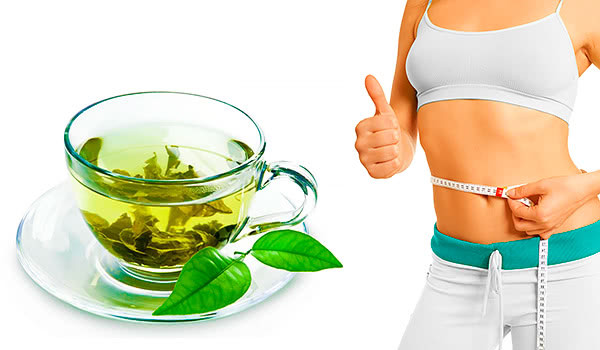 Green Tea Weight Loss
 Can Green Tea Assist you in Weight Loss Naturally
