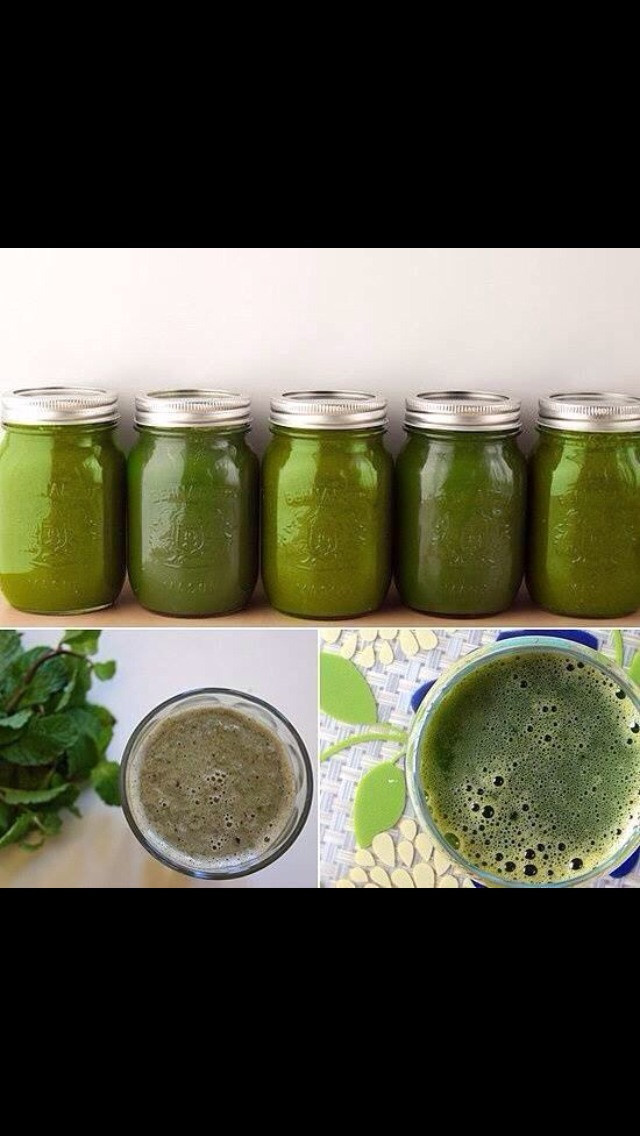 Green Tea Weight Loss Smoothie
 Green Tea Weight Loss Smoothie by Cassandra Rivera Musely