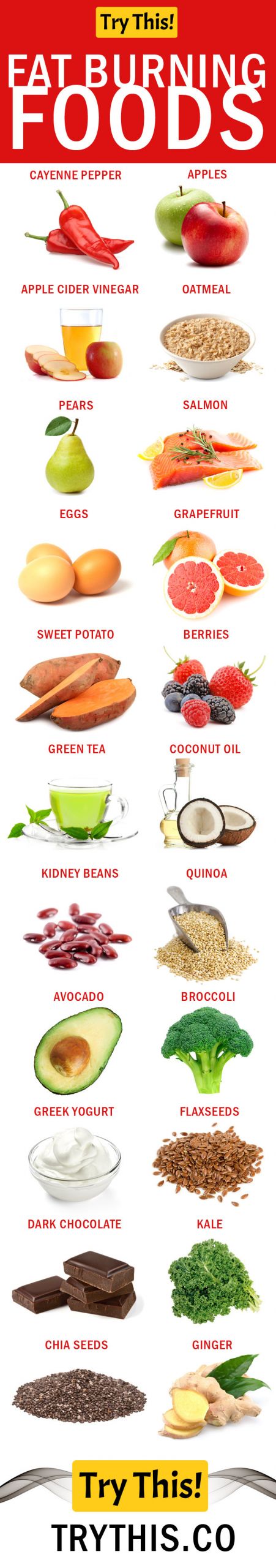 Healthy Fat Burning Foods
 Fat Burning Foods – Best Foods To Eat For Weight Loss