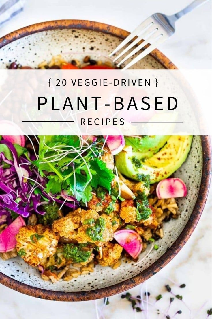 Healthy Plant Based Recipes
 20 Veggie Driven Plant Based Recipes