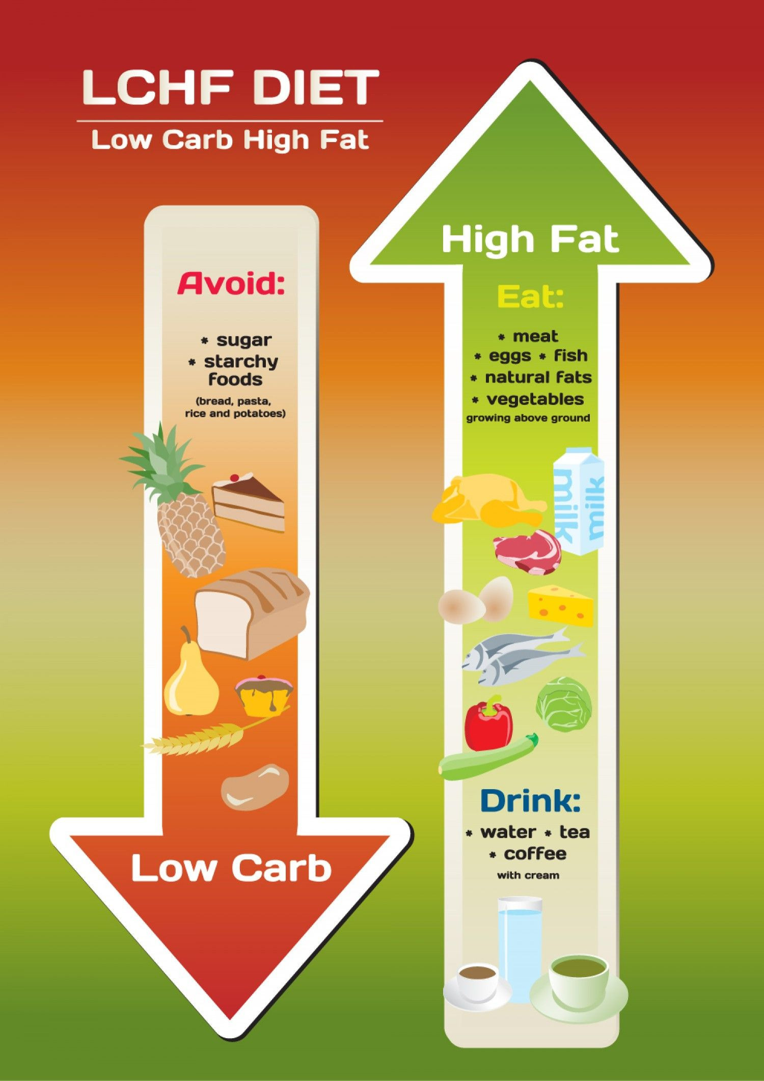 High Carb Low Fat Diet
 The LCHF Diet Infographic