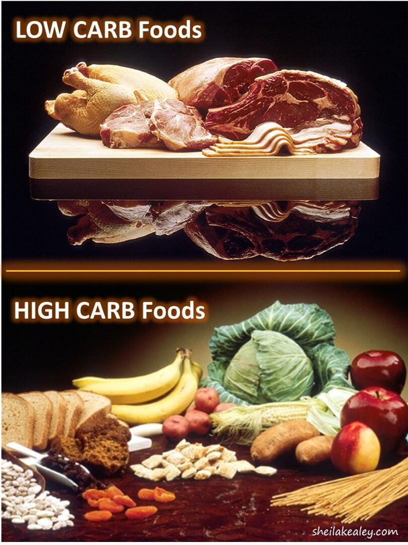 High Fat Low Carb Diet
 This Week in Food Health and Fitness Sheila Kealey