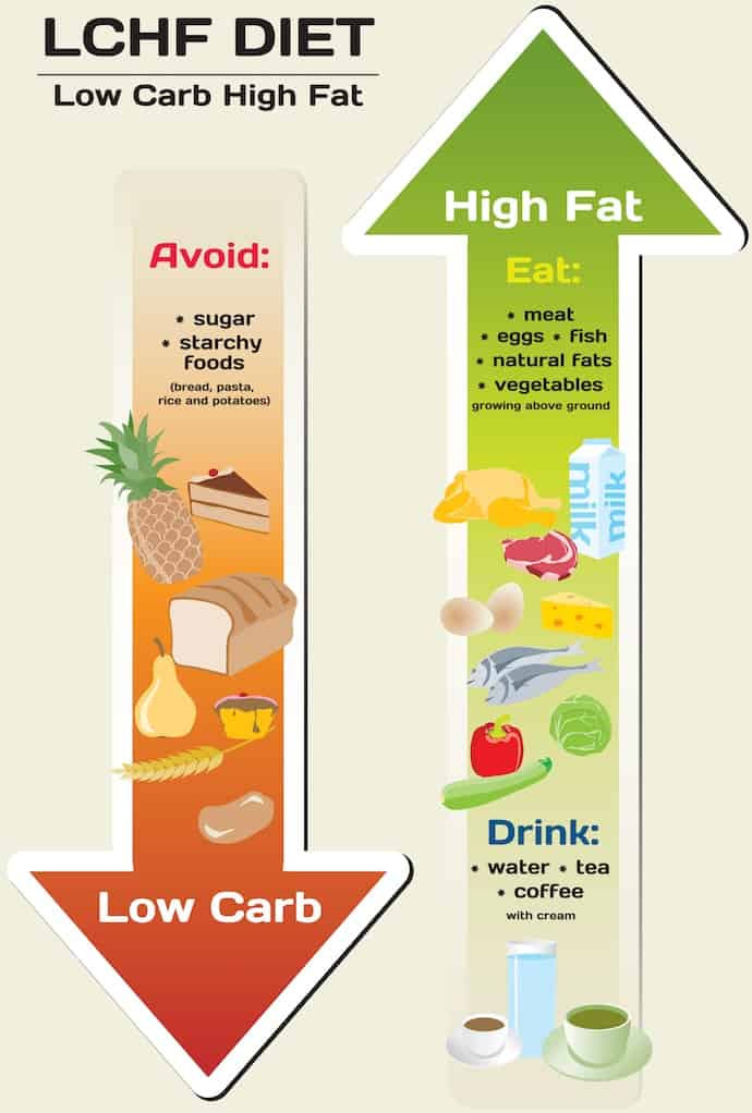 High Fat Low Carb Diet
 PCOS Diet How To Lose Weight and Treat Symptoms Naturally