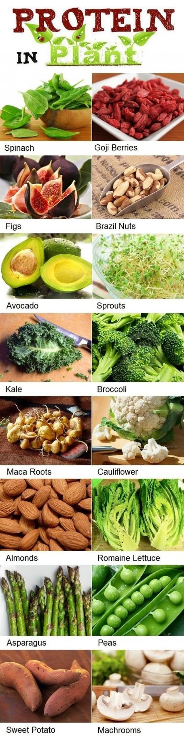 High Protein Low Calorie Diet
 Health And Beauty List Low Calorie high Protein Foods