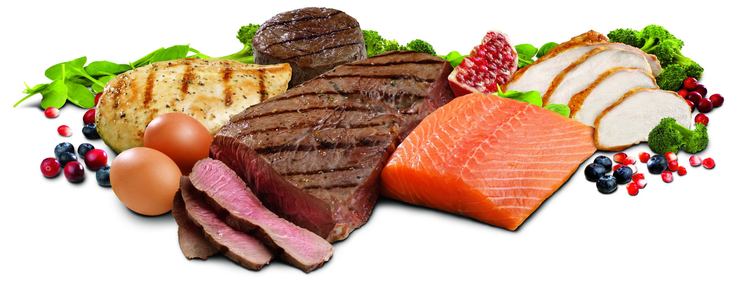 High Protein Low Carbohydrate Diet
 What Are The Effects of A Low Carb High Protein Diet An