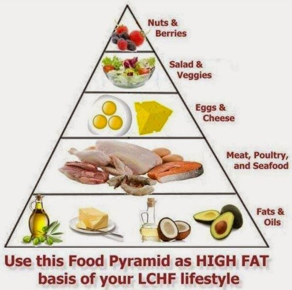 High Protein Low Fat Diet
 Pin on Paleo Diet