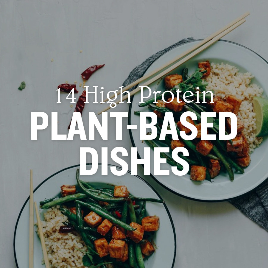 High Protein Plant Based Recipes
 14 High Protein Plant Based Dishes