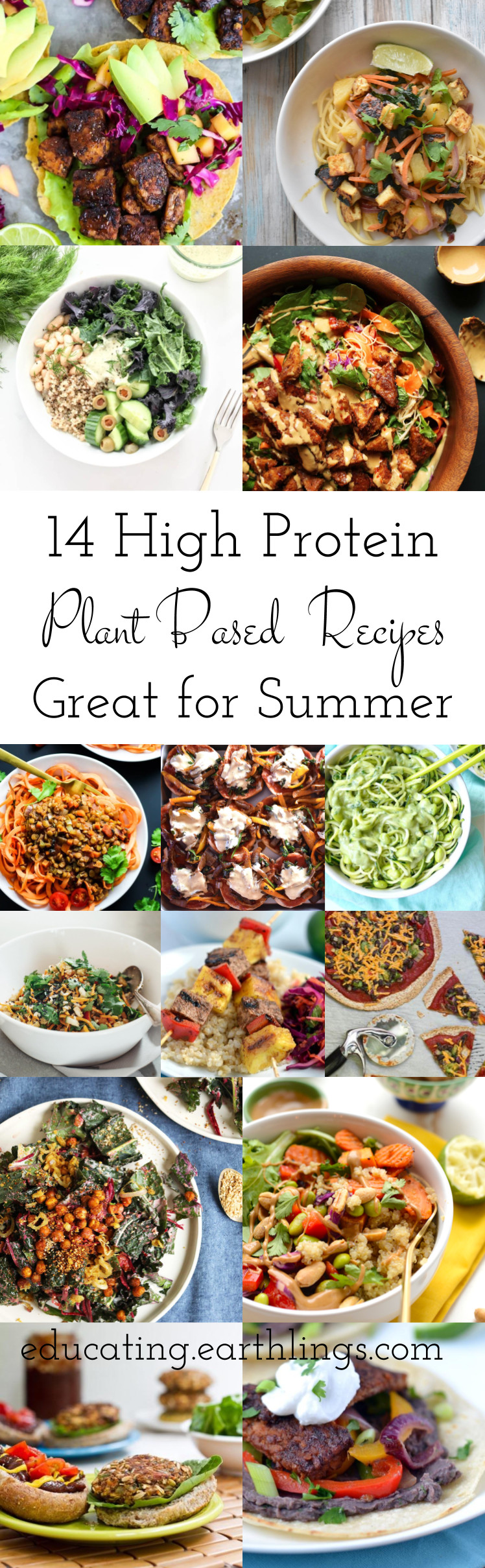 High Protein Plant Based Recipes
 14 High Protein Plant Based Recipes