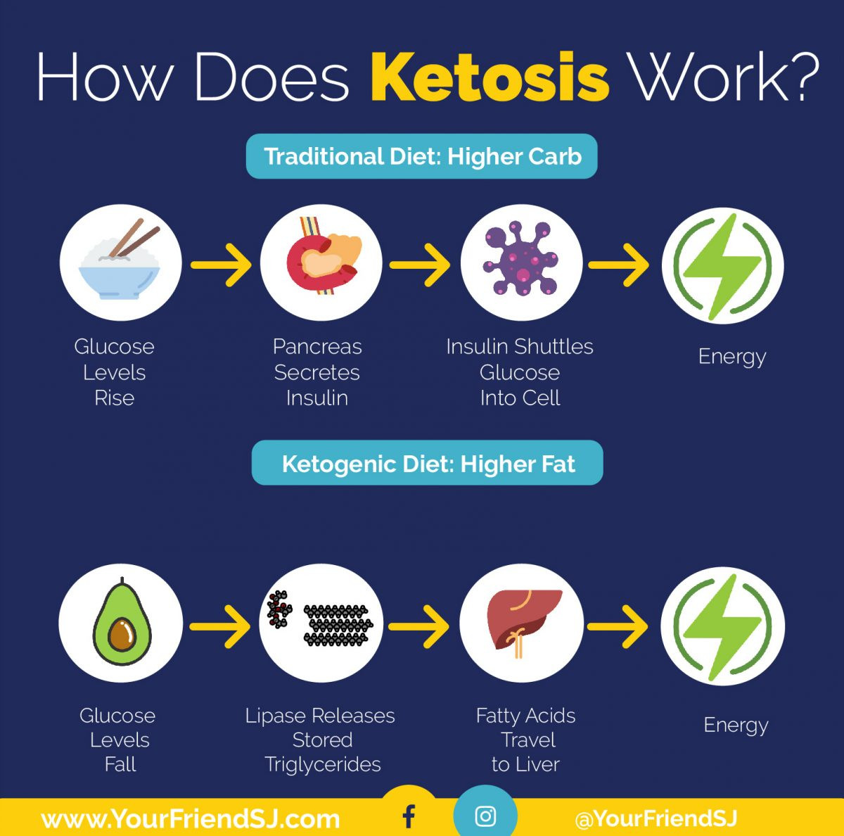 How To Do Ketosis Diet
 Keto for Dummies The Ketogenic Diet Explained