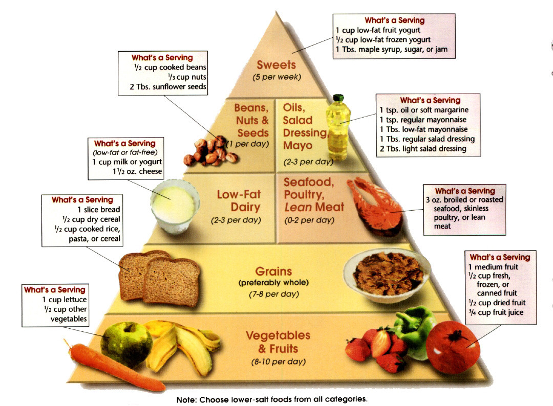 How To Do Low Carb Diet
 Do’s and dont’s on Weight Loss