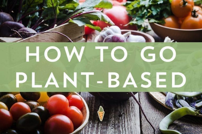 How To Go Plant Based Diet
 How to Go Plant Based No Meat Athlete in 2020