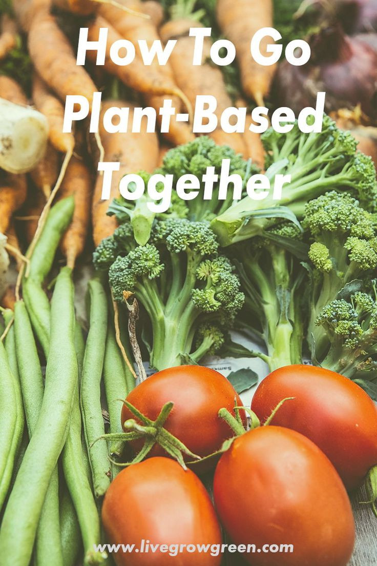How To Go Plant Based Diet
 How To Go Plant Based To her in 2020