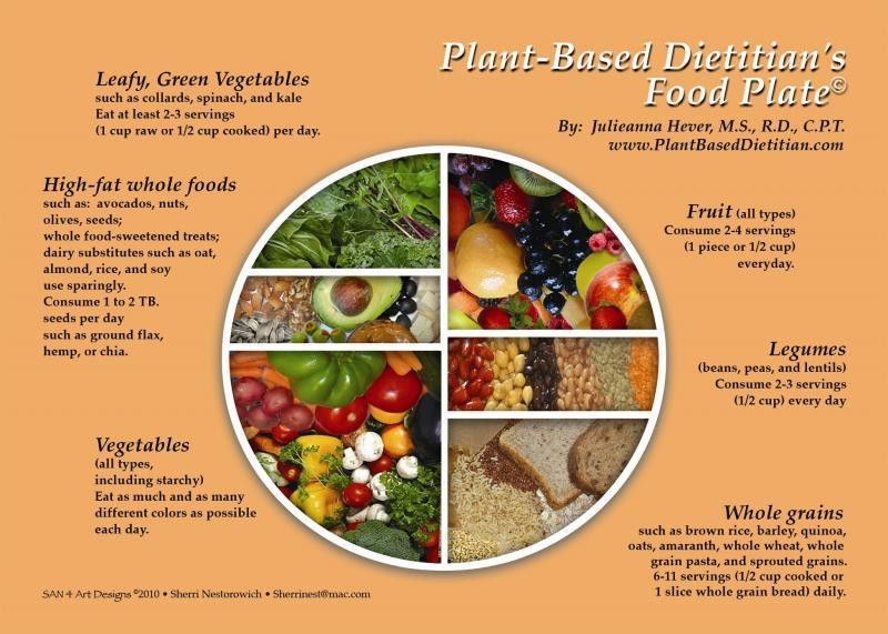 How To Go Plant Based Diet
 plant based