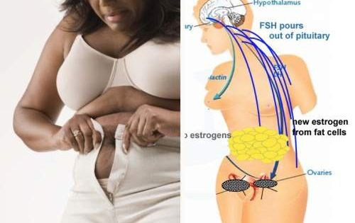 How To Lose Belly Fat During Menopause
 3 Ways to Get Rid of Your Stubborn Menopause Belly Fat