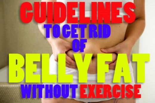 How To Lose Belly Fat Fast Without Exercise
 Guidelines to Get Rid of Belly Fat Without Exercise Fast