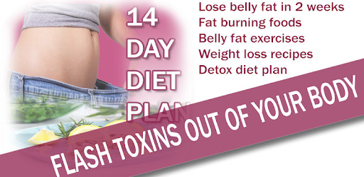 How To Lose Belly Fat In 2 Days
 14 Day Diet Plan lose belly fat in 2 weeks Apps on