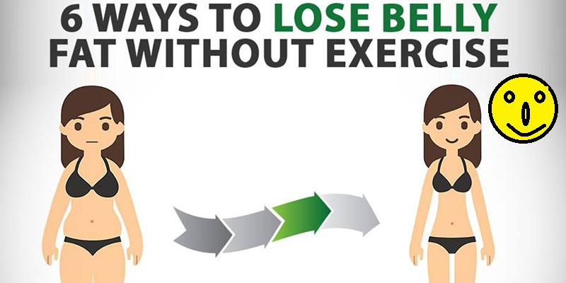 How To Lose Belly Fat Without Exercise
 Reducing the belly fat without any excercise isn’t that