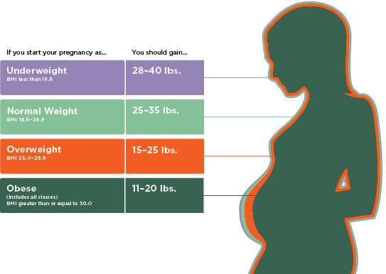 How To Lose Weight During Pregnancy
 TDEE and Macro Calculations for Pregnant or BreastFeeding
