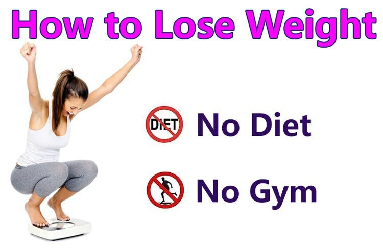 How To Lose Weight
 How To Lose Weight Fast Without Exercise