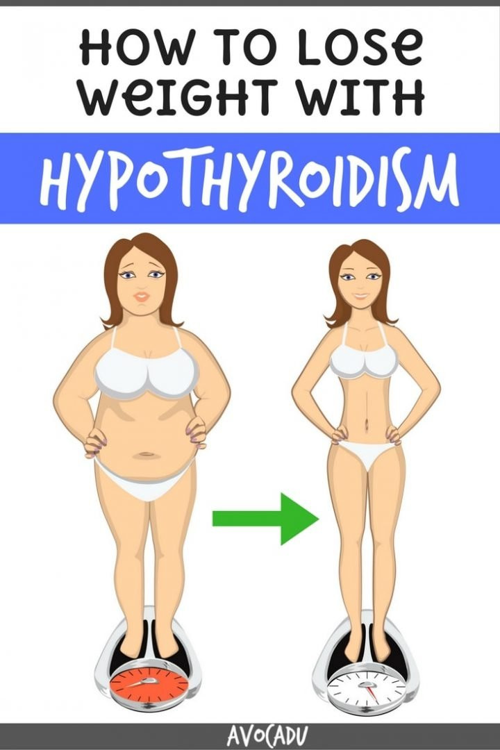 How To Lose Weight With Hypothyroidism
 How to Lose Weight with Hypothyroidism Avocadu