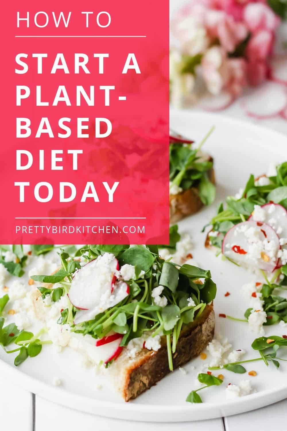 How To Start A Plant Based Diet
 How to Start a Plant based Diet The Ultimate Guide for