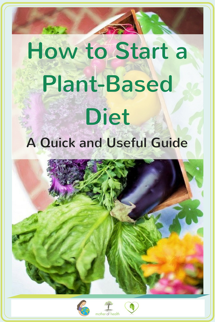 How To Start A Plant Based Diet
 How to Start a Plant Based Diet