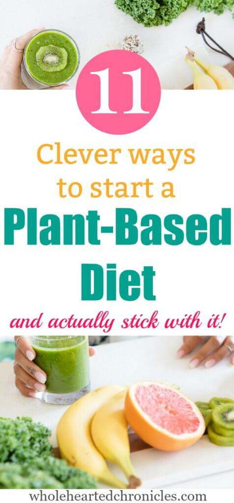 How To Start A Plant Based Diet
 How To Start A Plant Based Diet & Actually Stick With It