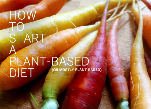 How To Start A Plant Based Diet
 Why Consider a Plant Based Diet