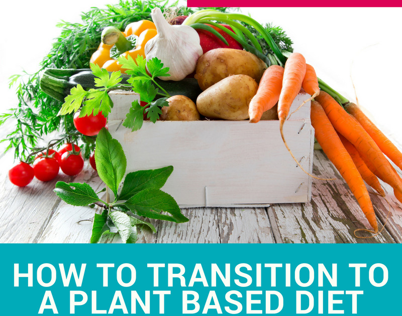 How To Transition To Plant Based Diet
 How to Transition to a Plant Based Diet with Dr Dan