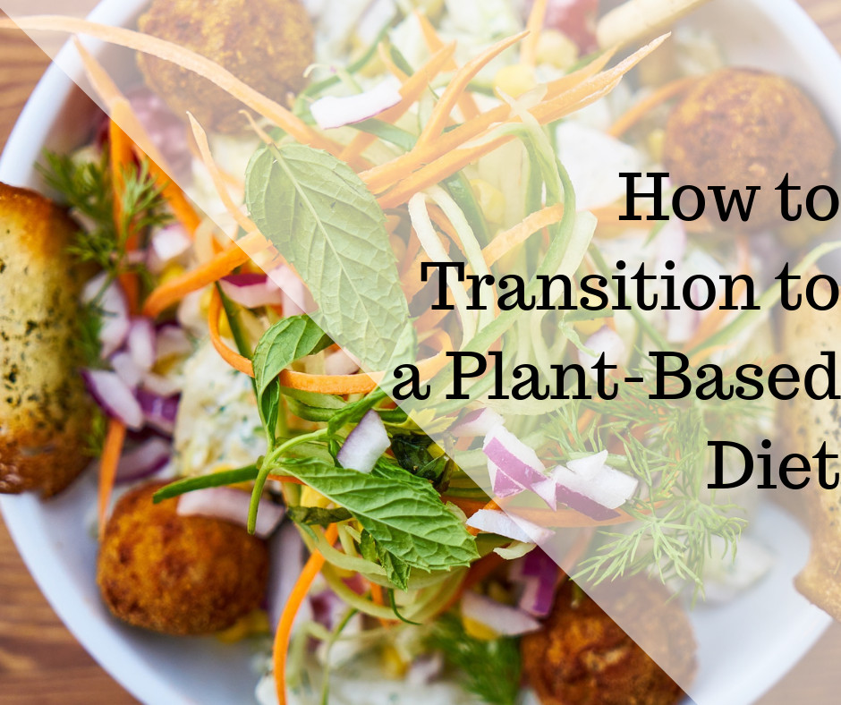 How To Transition To Plant Based Diet
 How to Transition to a Plant Based Diet – Kristine Young