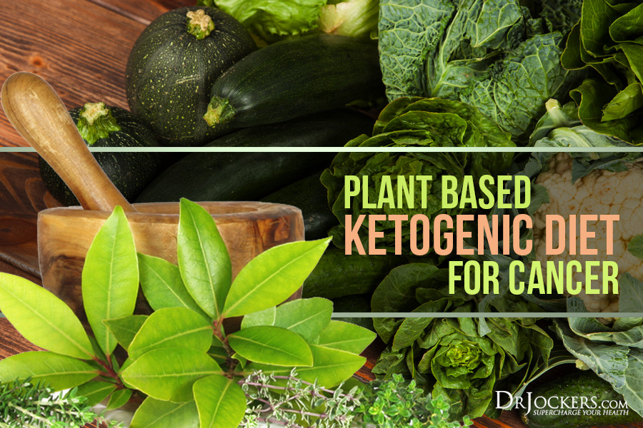 Keto Plant Based Diet
 Plant Based Ketogenic Diet for Cancer DrJockers