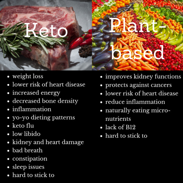 Keto Vs Plant Based Diet
 Keto vs Plant Based paring apples to butter –